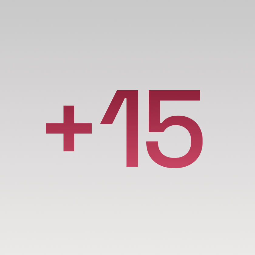 +15 senior engineers & specialists